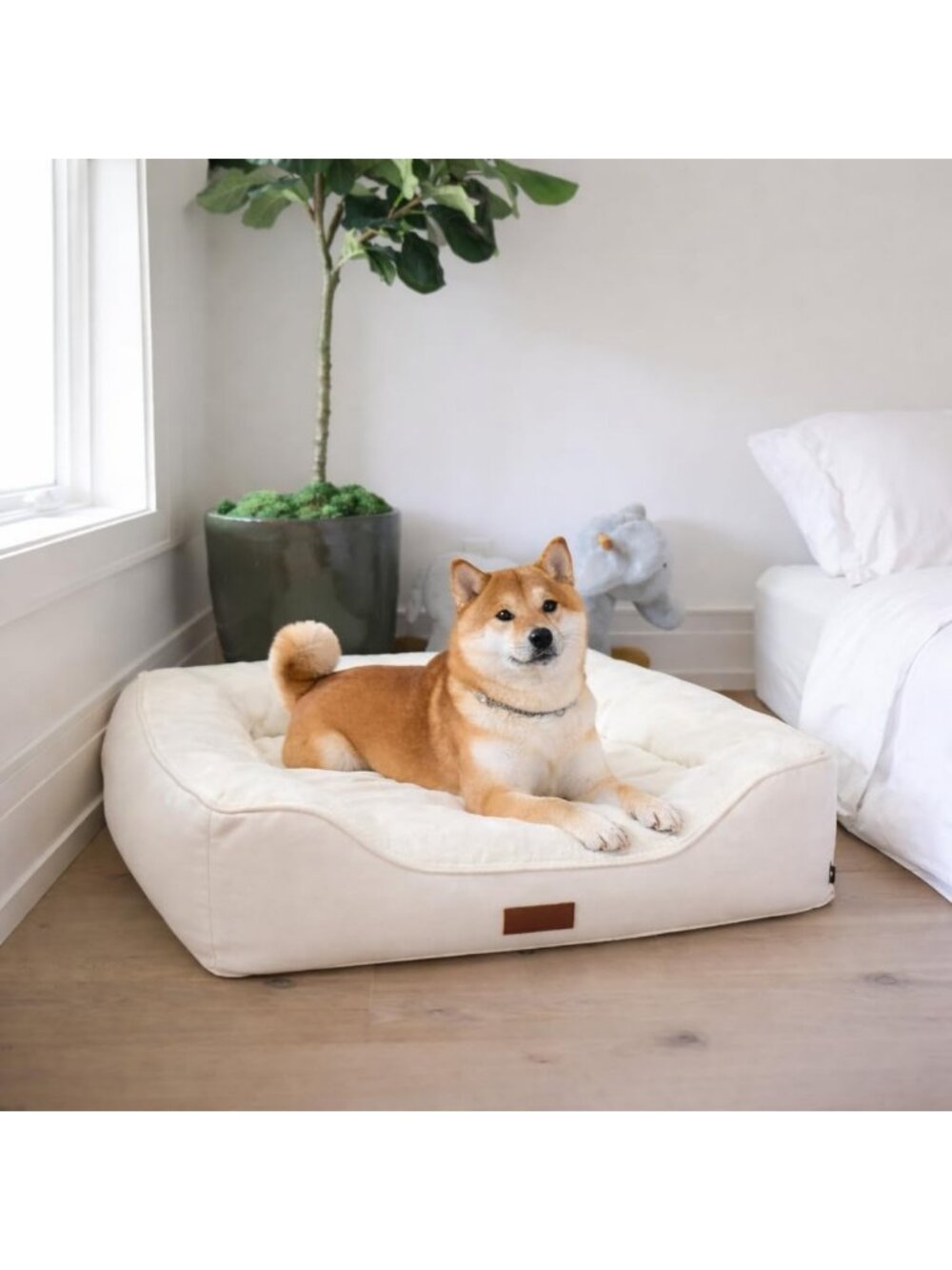 Cozy Orthopedic Dog Bed - Egg Crate Memory Foam for Ultimate Comfort (Medium)